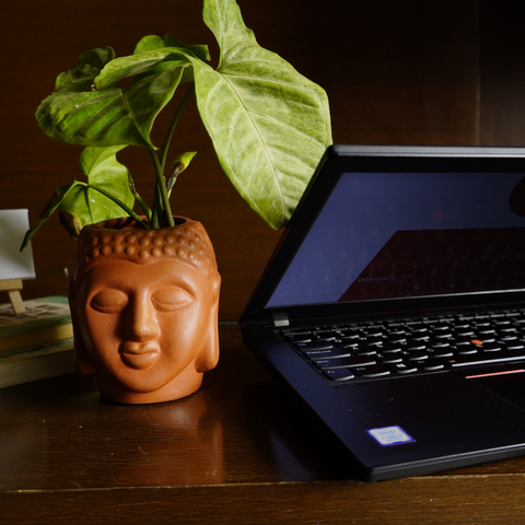 Buddha Planter for Work Desk (4 inch) - Kulture Street