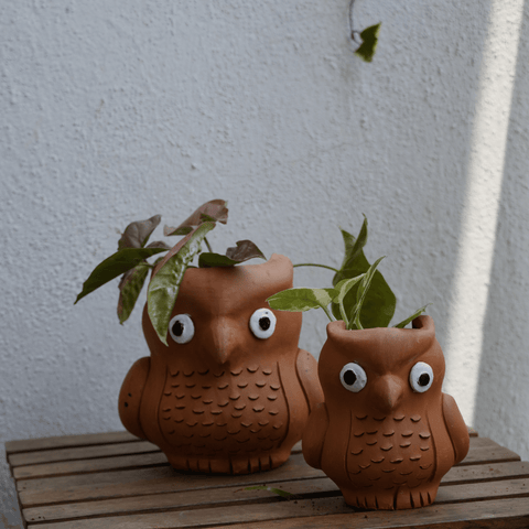 Owl Planter (Combo) - Kulture Street