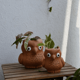 Owl Planter (Combo) - Kulture Street