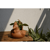 Rooster Planter (6 inch) - Kulture Street